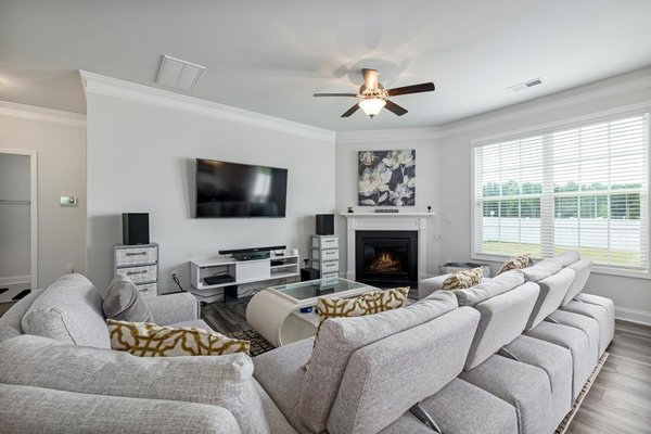 Best heat-resistant plants for your south-facing garden patio in the uk